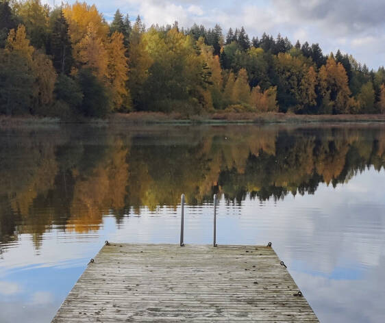 Kauniisti harmaantunut puulaituri nuokkuu syksyisen järven rannalla. Vastarannalla loistavat ruskan värit metsässä.