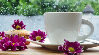 kaffekopp med blommor kring sig på insidan av ett regnigt fönster