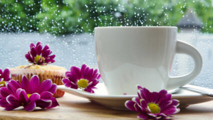 kaffekopp med blommor kring sig på insidan av ett regnigt fönster
