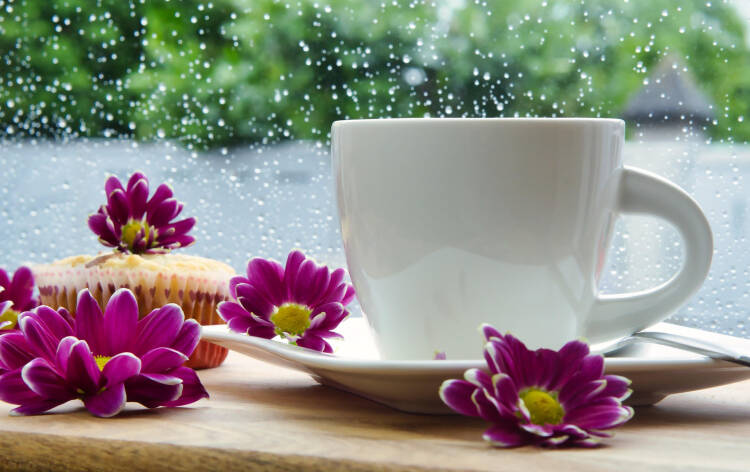 kaffekopp med blommor kring sig på insidan av ett regnigt fönster