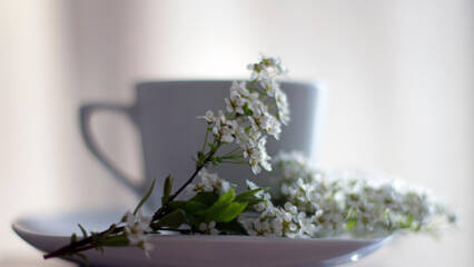 syrenblomma framför en kaffekopp