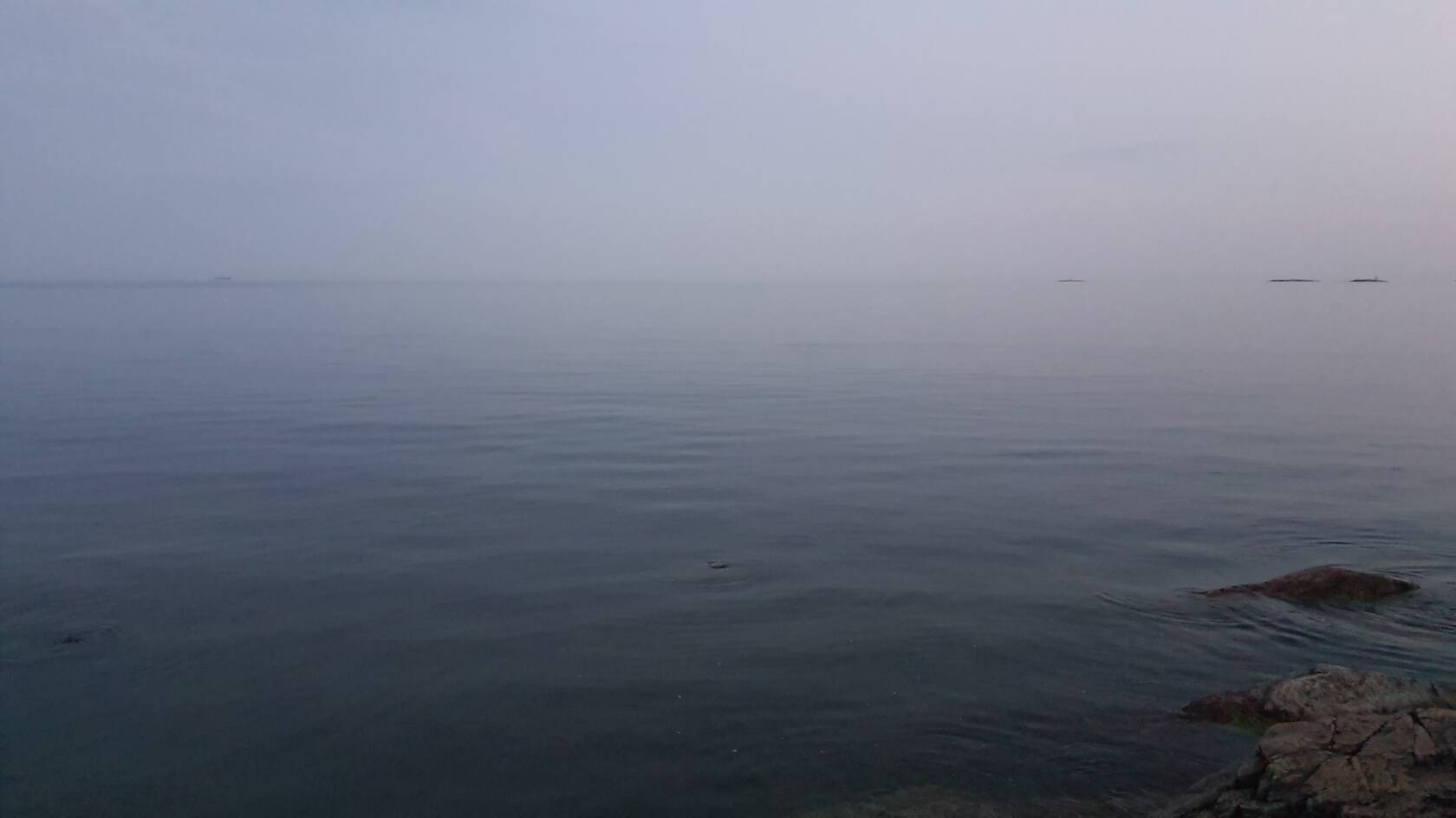 dimmig hav